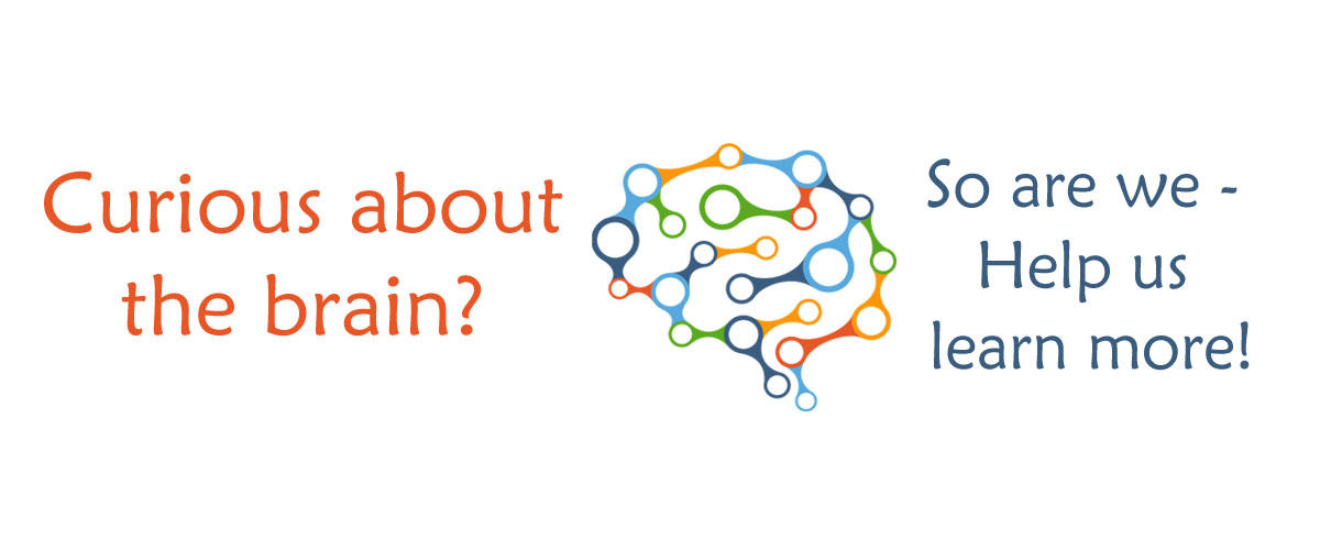 Curious about the brain? Help us learn more! 